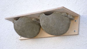 Räystäspääskypönttö Schwegler (9B) 2 pesää -  kestävä puubetoniseos